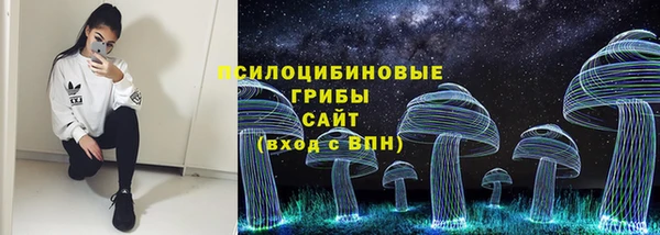 метадон Арсеньев
