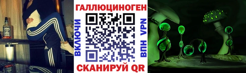 ссылка на мегу зеркало  Королёв  Псилоцибиновые грибы GOLDEN TEACHER 