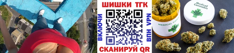 где найти Королёв Бошки Шишки ГИДРОПОН